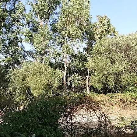 Apartmán Elia San Teodoro *
